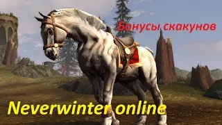 Neverwinter online. Бонусы скакунов на отхил.
