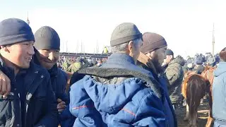 ЖООН МОЮН АТТАР НООКАТТА 🔥 АТ БАЗАр ЖАЙНАП КЕТТИ😱 ТАЙ БАЗАР БЭЭ БАЗАР