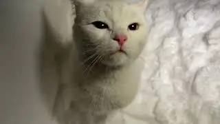 ВПЕРЕД ИЗ ПРОШЛОГО...😎