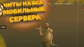 Читы на Онлайн РП? Подарил маску совы НН? Ушел на другой сервер?