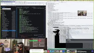 Sparse Autoencoders w/Apple Vision Pro
