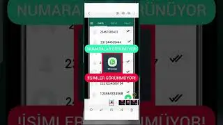 Names Do Not Appear on Whatsapp