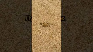 Место куда хочется возвращаться снова и снова