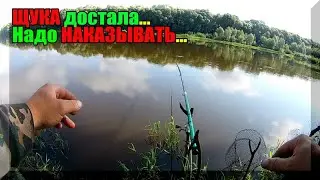 ЩУКА достала. Только прикормишь, она тут, как тут и клева больше нет. Ловля щуки на живца.
