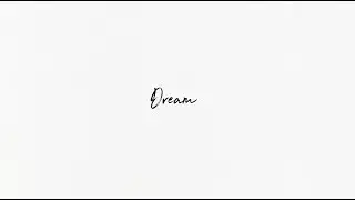 Shawn  Mendes - Dream (Lyric Video)