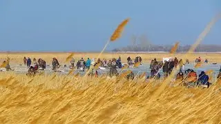 МЕСТНЫЕ ДОЛГО НИКОМУ НЕ ПОКАЗЫВАЛИ ЭТО РЫБНОЕ ОЗЕРО В КАМЫШАХ