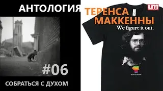 Теренс МакКенна. Антология. - 06. Собраться с Духом