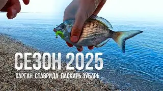 ВОТ ЭТО Я ПОПАЛ... Рыбалка на Черном море, СЕЗОН 2025 открыт!