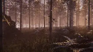 Forest Environment - Unity
