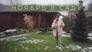 Garden in November I Garden of Lyudmila Kudasova