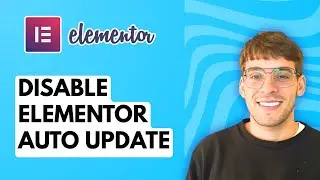 How to Disable Elementor Auto Update [2026 Full Guide]