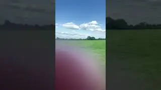 Vlogging enjoying the day