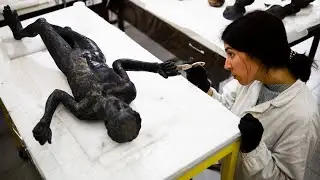 Ancient Discoveries, Unexplained Mysteries and Historical Sites (Shorts Compilation)