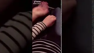 Любите собак