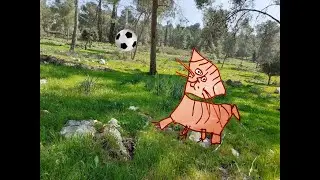 КУДА ЛЕТАЛ МЯЧ
