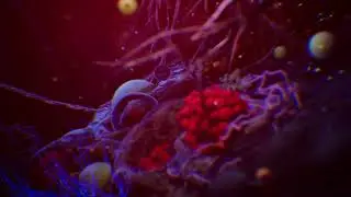 MicroWorld