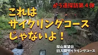 これはサイクリングロードではない！午前縛りのグループライド！〜桜山展望台と旧入間サイクリングコース