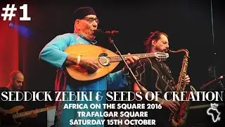 Seddick Zebiri & Seeds Of Creation ☆ Africa On The Square 2016 @Trafalgar Square