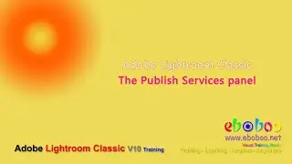 Adobe Lightroom Classic - The Publish Services panel
