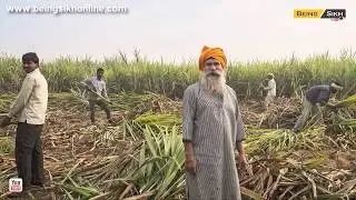 Punjabi culture old and new