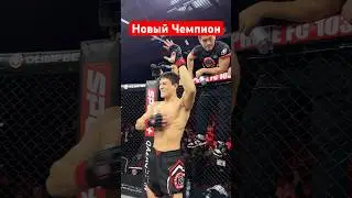 Новый чемпион мма 