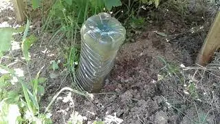Спасение сада-огорода от жары и засухи. 