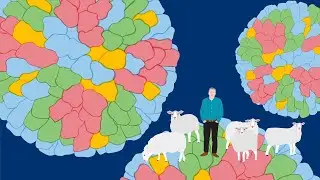 Why Does The Same Virus Kill Some, Leave Others Unharmed? Massimo Palmarini, Glasgow, Investigates