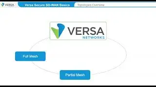 SDWAN | Module 3 - Versa SD-WAN Basics | Full Mesh, Hubs, and Spokes
