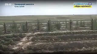 6 июня 2020 г.