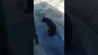 Ветренный приветик! 1 сентября 2024 г.