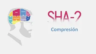 13/18 - Compresión - SHA256 Explicado paso a paso (incluye SHA-224, SHA-384, SHA-512)