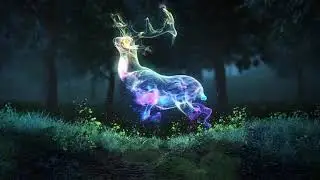Magical Nature particles intro - After Effects Template