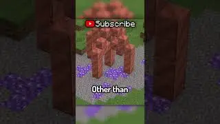 The MOST useless item in Minecraft