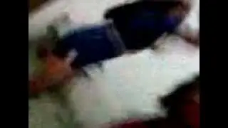 Crentes da Assembleia dançando