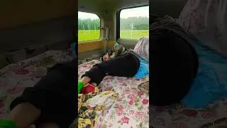 Дачники