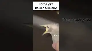 Было такое?😂 #shorts #юмор #хочуврекомендации