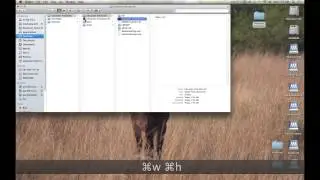 Saving in Adobe Flash CS6