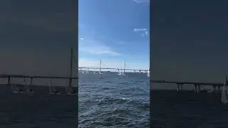 Паруса