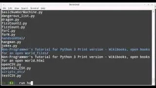 how to run a python script in Ipython .13 (run file.py)