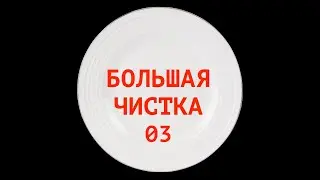 БОЛЬШАЯ ЧИСТКА - день 03