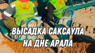 Дно Аральского моря 2024