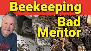 Beekeeping | Inexperienced Mentors Are Not Helping You