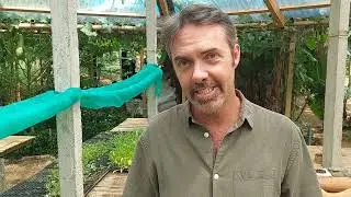 Resilience in Bali through organic farming education