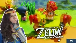 Risse in der GERUDO WÜSTE schließen | THE LEGEND OF ZELDA: ECHOES OF WISDOM | Part 7