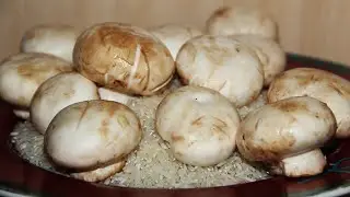 Ризотто с грибами / Рис с грибами