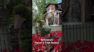 A Little Grist Mill Ambiance of Dollywood’s Flower & Food Festival! #dollywood #shorts