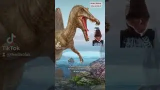 What was the LARGEST Carnivorous dinosaur?