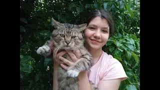 У девочек выпечка 🥐 а Викуся нашла котятам папу