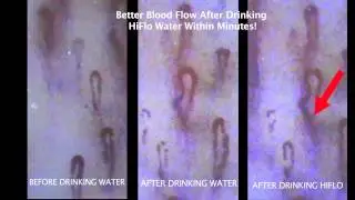 HiFloAM Water - Cell Scan