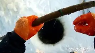 Отличный улов 05 12 2019